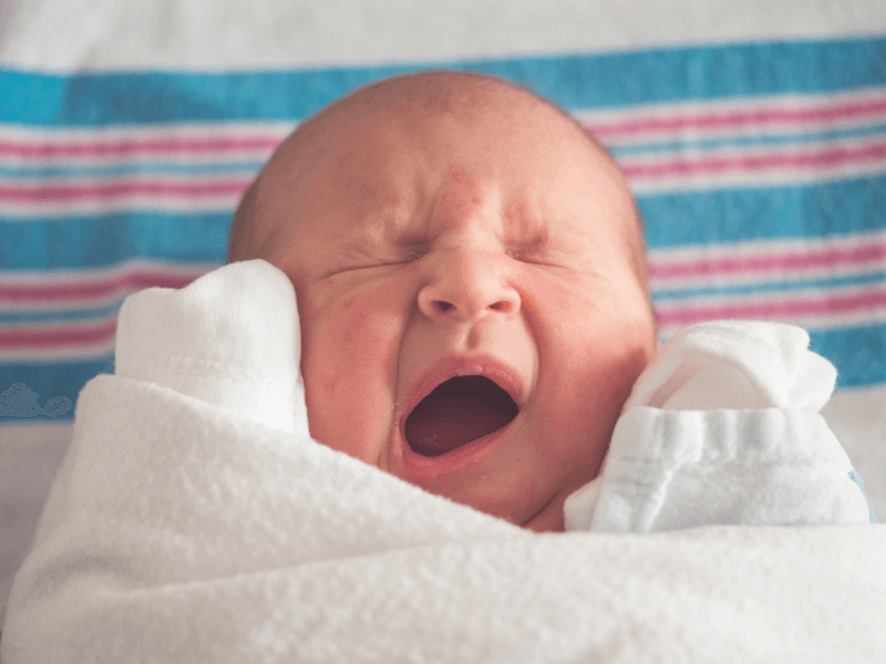 yawning bald newborn baby swaddled a white cloth