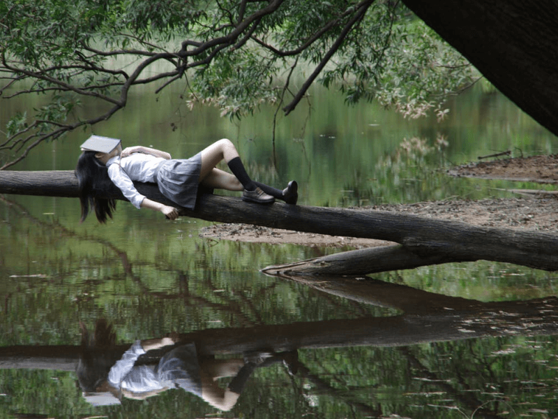 A young girl asleep on a tree branch, with a book on her face